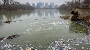 La contaminación farmacéutica en ríos