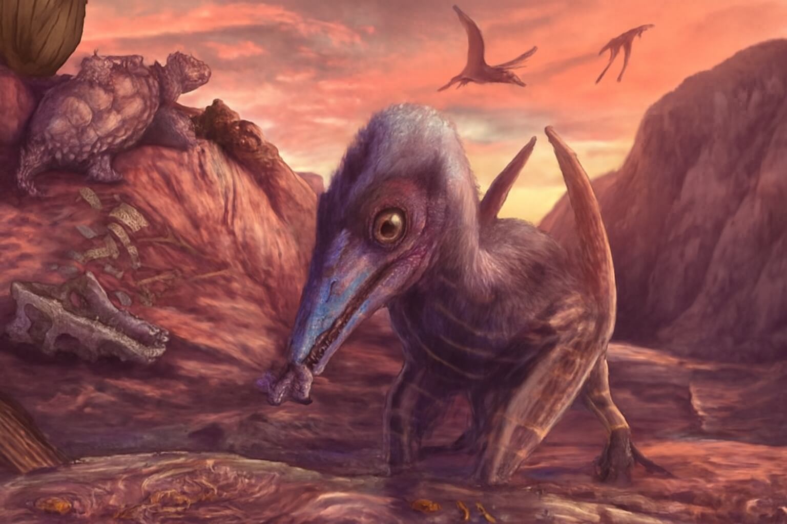 El descubrimiento de Eotephradactylus en Arizona revela el pterosaurio más antiguo de América del Norte (Imagen Ilustrativa Infobae)