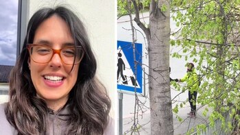 ientras que en muchos