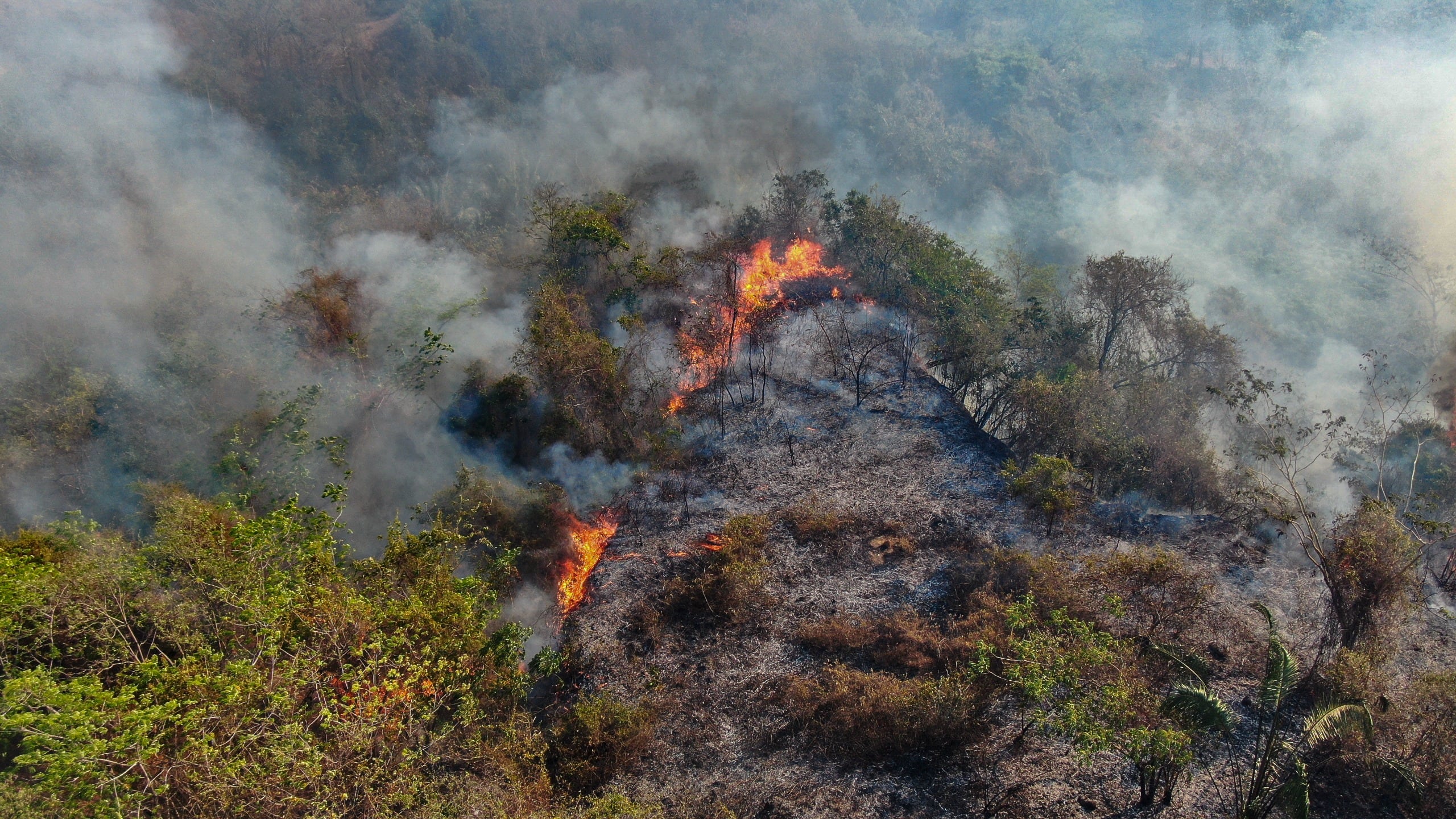 Hace días que el departamento es azotado por los incendios forestales que dejaron millonarios daños y familias afectadas - crédito Colprensa