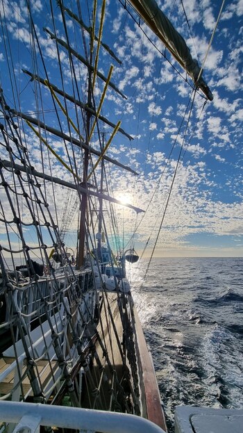 Panamá, Estados Unidos, España, Italia,