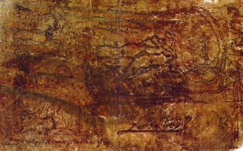 En la imagen se aprecia