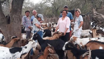 En Finca El Paraíso se