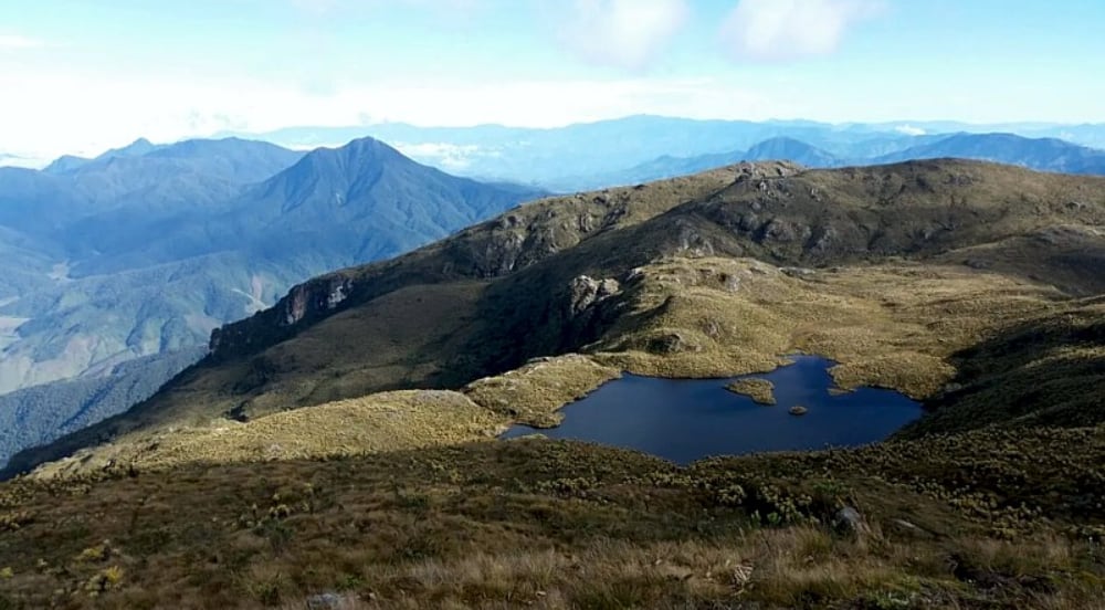 El Páramo del Sol es el punto más alto de Antioquia, con una ruta de 30 a 40 kilómetros entre bosques andinos, quebradas, pantanos y frailejones - crédito Colparques