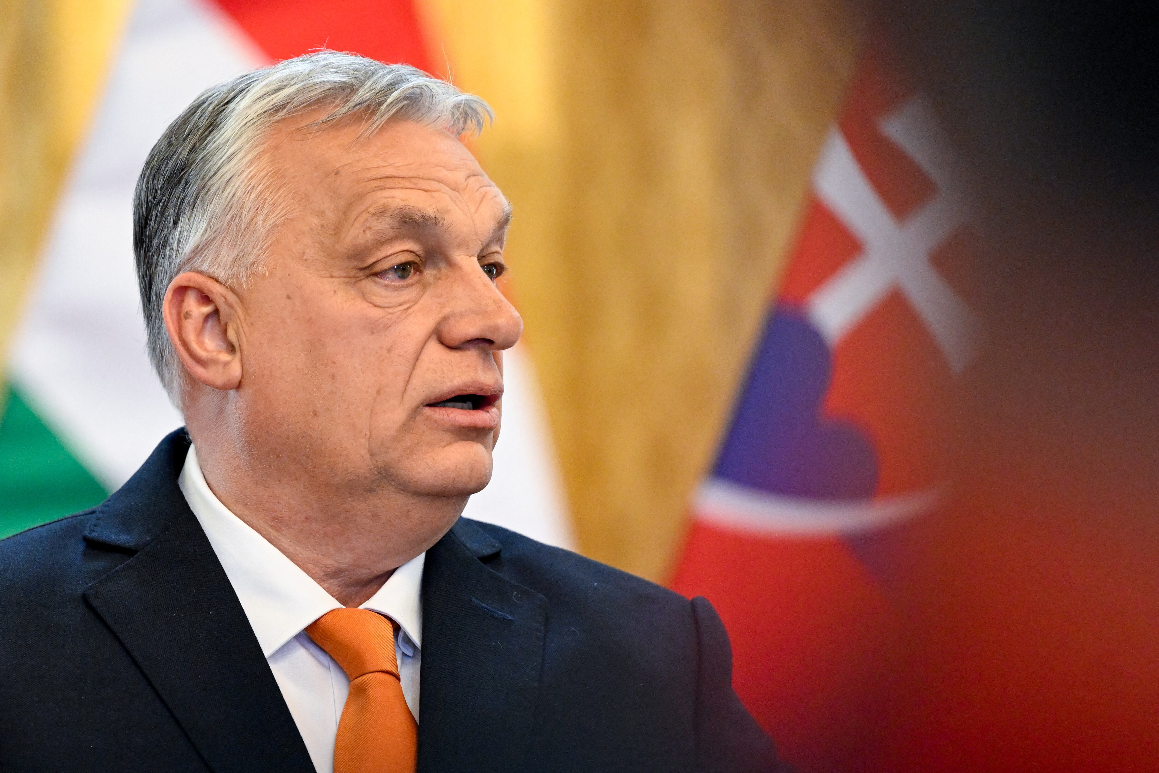 El primer ministro Viktor Orbán. (REUTERS/Radovan Stoklasa)