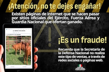 Los intentos de fraude con venta de ganado se registran, al menos, desde 2018. (Crédito: Defensa)
