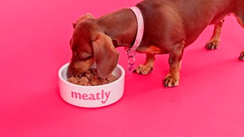 Productos de carne cultivada ofrecen