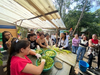 La decisión impactaría no solo