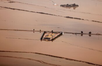 Vista de los arrozales destruidos