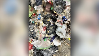 Encontraron muerto a un joven en la CEAMSE de Ensenada: creen que se refugió en un contenedor y fue trasladado entre los residuos