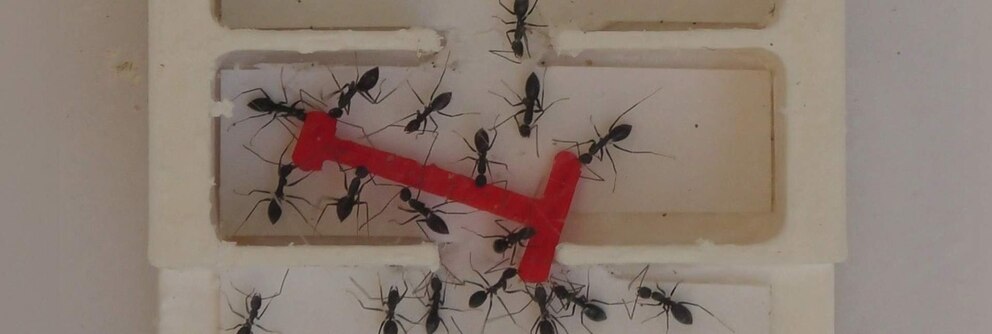 7XYCTFRWCNHTJH447RU7WYGRZ4