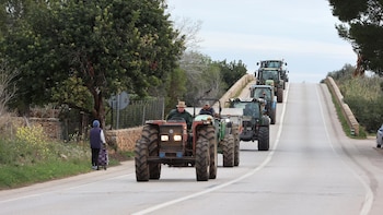 Los agricultores ecológicos de Mallorca