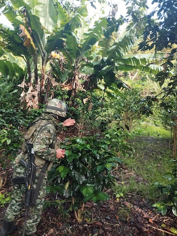 Las operaciones militares en la