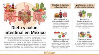 Infografía con ilustraciones del sistema digestivo, comida rápida, alimentos tradicionales, calendario, píldoras y texto sobre microbiota intestinal.