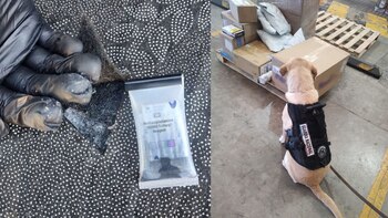 La drogra oculta en el