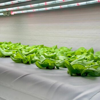 El sistema de AirFarm ha