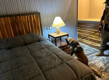 Las fotos del operativo mostraron