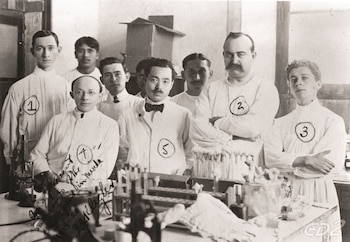 Noguchi Hideyo fue un brillante