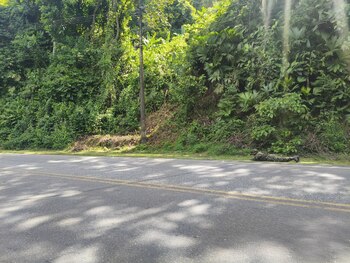 El dispositivo fue localizado en