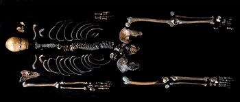 Restos óseos encontrado dentro del