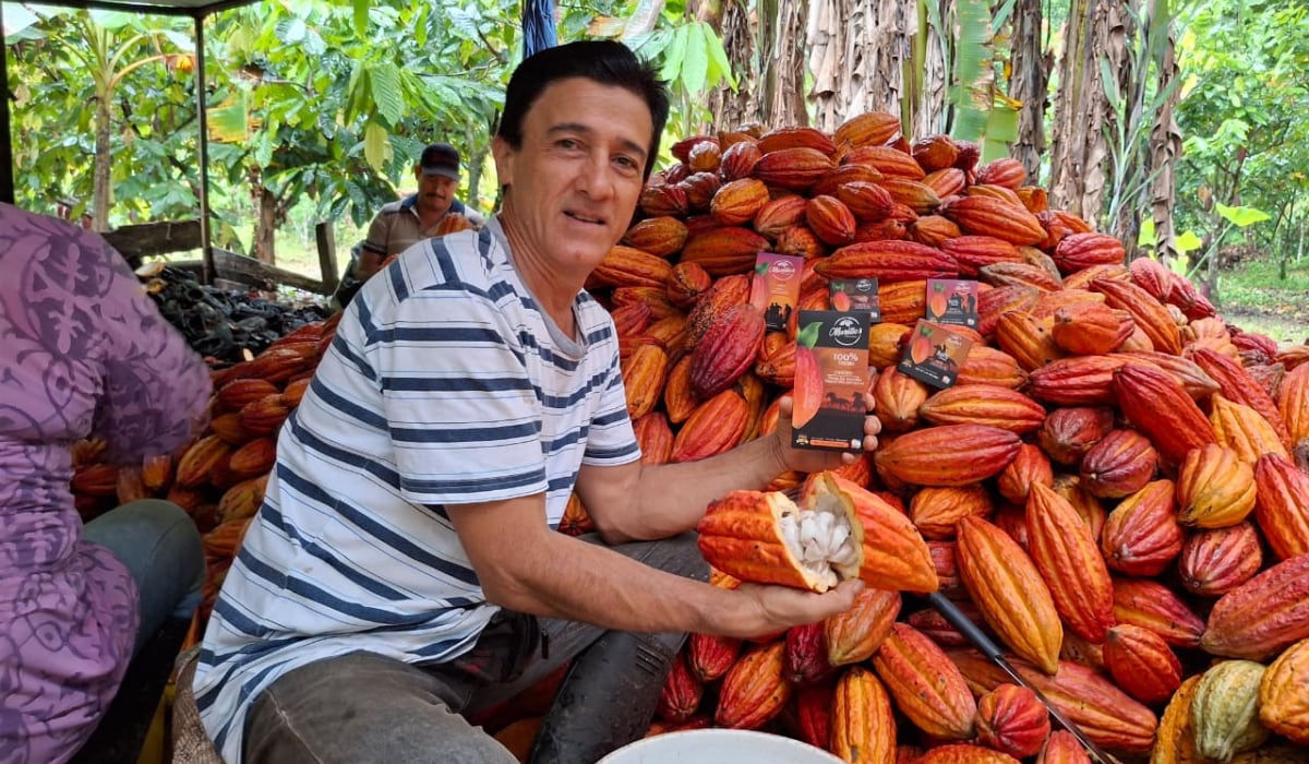 Agroemprende Cacao Meta comercializó 416 toneladas de cacao en 2025, exportó a Japón, Bélgica y España y generó ingresos por más de $12.716 millones. (Ecopetrol)