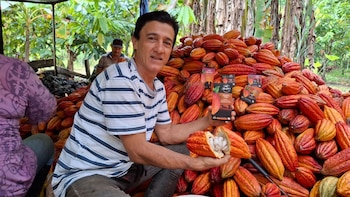 La inversión con la que Ecopetrol impulsa el desarrollo del campo colombiano