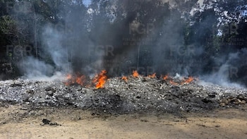 Autoridades incineran 184 kilos de drogas y destruyen objetos relacionados a delitos en Quintana Roo. FGR