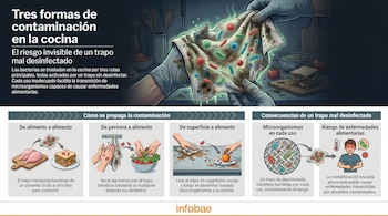 Infografía sobre tres formas de contaminación en la cocina, con manos sosteniendo un trapo sucio, ejemplos de propagación de bacterias y sus riesgos.