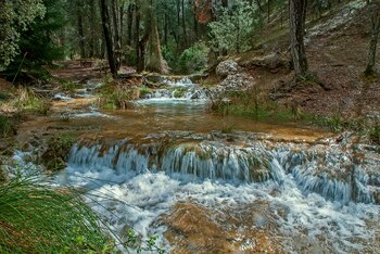 Arroyo de Linarejos, en la