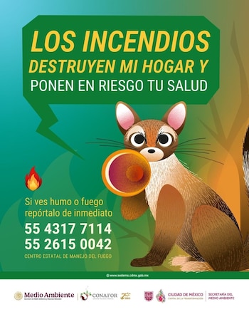 Ilustración de un cacomixtle, un pequeño fuego, texto sobre incendios, números de teléfono para reportar y logos institucionales de México