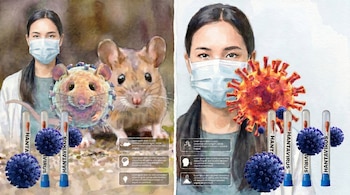 Ilustración de una persona con mascarilla en dos paneles, con un roedor y virus Hantavirus a la izquierda y un virus diferente a la derecha, junto a tubos de ensayo.
