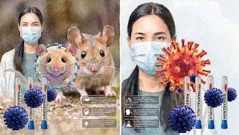 Hantavirus de los Andes: qué tan peligroso es y por qué México emitió un aviso epidemiológico