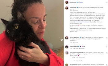 Mercedes Funes abre su corazón tras perder a su gato y deja una despedida que tocó a todos
