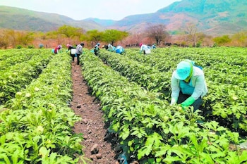 FENAGH destaca la importancia de