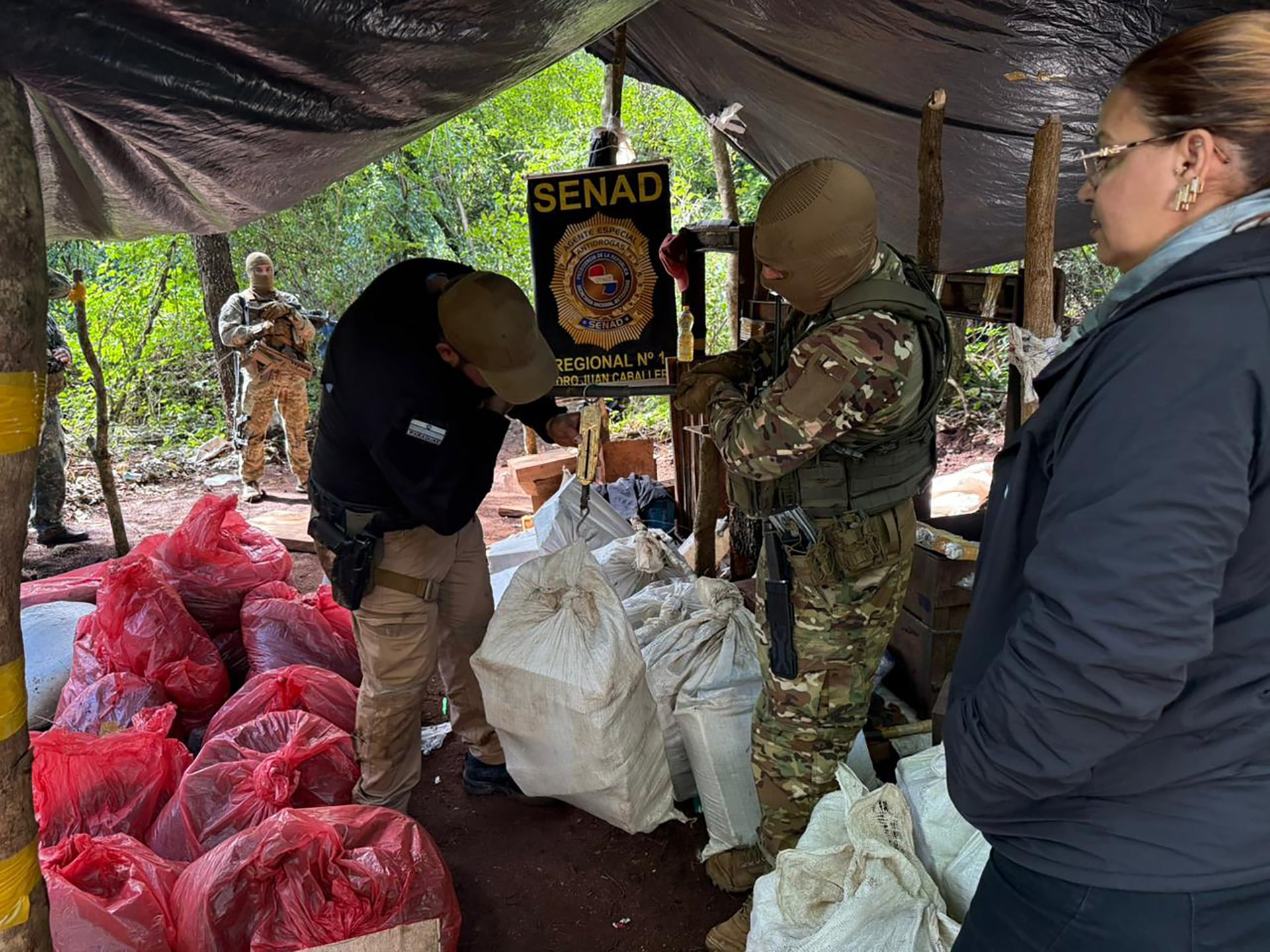 Agentes antinarcóticos inspeccionan y pesan fardos de marihuana incautados (Senad)