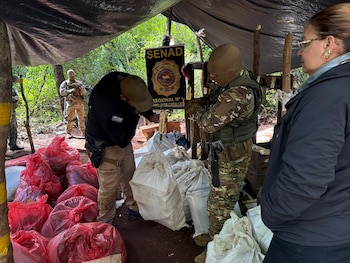 Agentes de SENAD inspeccionan grandes fardos de marihuana en bolsas rojas y blancas bajo una lona en una zona boscosa de Paraguay. Un agente pesa una bolsa con una balanza