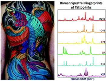 La investigación usó un escáner