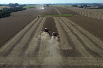 Brasil tuvo un año de cosecha récord y prevé exportaciones agrícolas que rondan los 180 mil millones de dólares. (REUTERS/Diego Vara)
