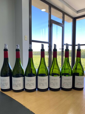 Vino Saurus Barrel Fermented Pinot