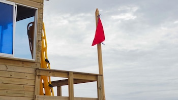 Paseo de fin de año