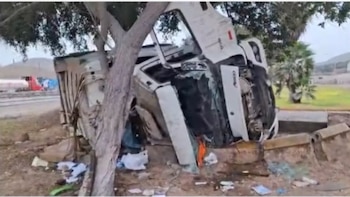 Camión blanco volcado apoyado contra un árbol con escombros alrededor. Al fondo, estructuras industriales y vegetación