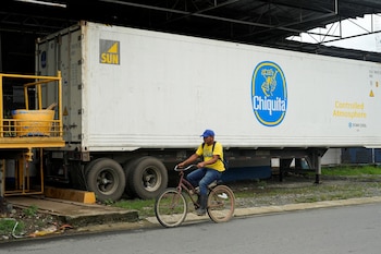 El banano se mantenía como