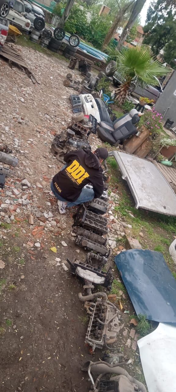 Autopartes y vehículos (Foto: Policía bonaerense)