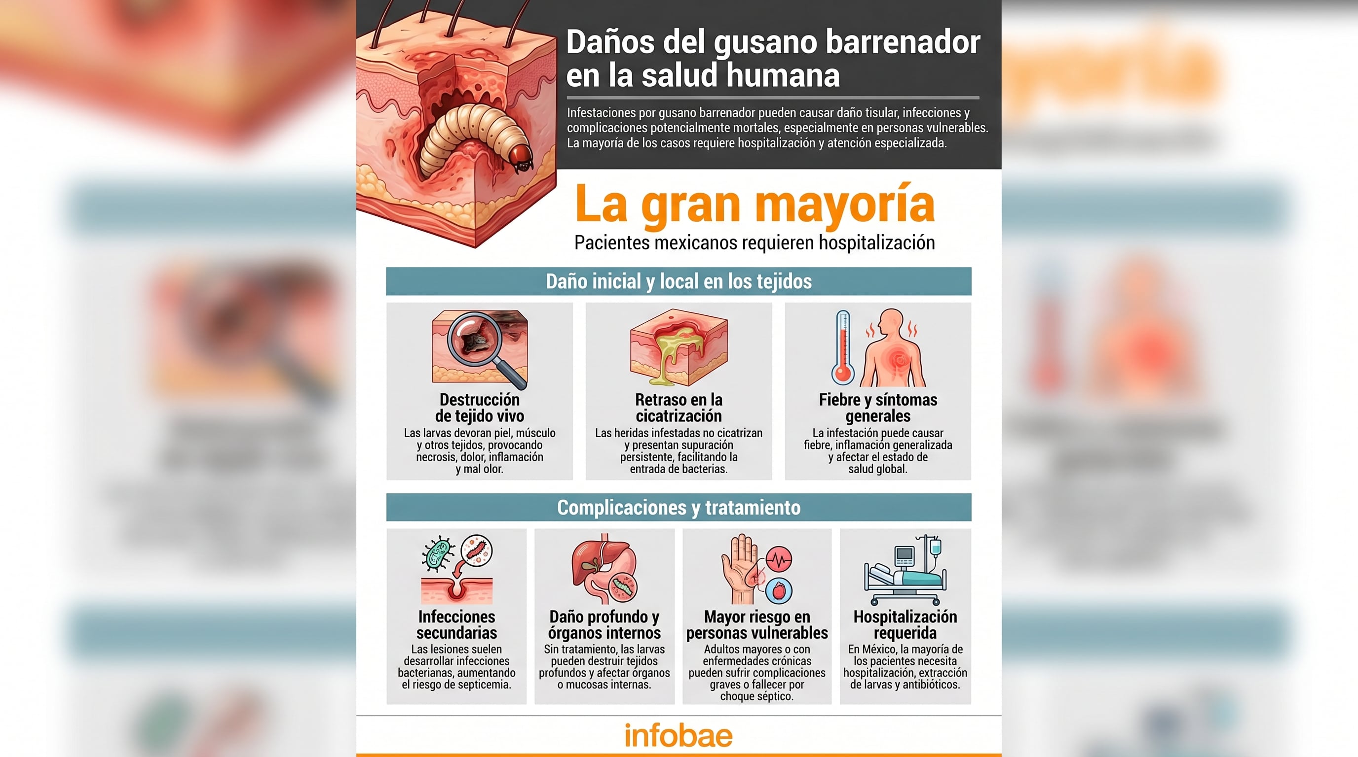 Las autoridades sanitarias de Honduras alertaron por el avance del gusano barrenador tras confirmar tres muertes por miasis humana en adultos mayores de 70 años. (Imagen Ilustrativa Infobae)