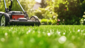 El elemento natural perfecto para