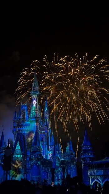 Las imágenes del viaje muestran