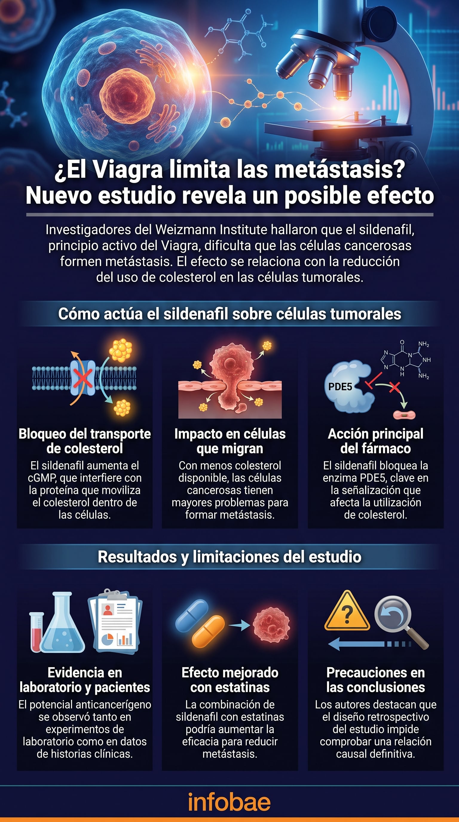 Una infografía detalla el mecanismo por el cual el sildenafil, principio activo del Viagra, podría limitar las metástasis del cáncer, según investigaciones del Weizmann Institute of Science. (Imagen Ilustrativa Infobae)