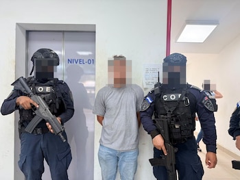 El cargamento era transportado en un compartimiento oculto de un vehículo tipo pick-up. (FOTOS: Policía Nacional)