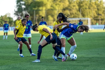 Brasil y Ecuador llegarán a