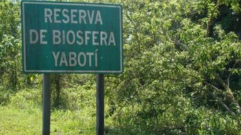 Violación de cuarentena: detuvieron a